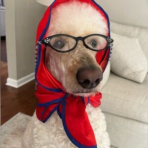 Meet your Posher, Ronnie